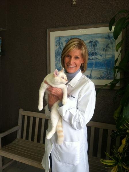 Timberlake Veterinary Hospital Virginia Beach Va Timberlake Veterinary Hospital Virginia Beach Va