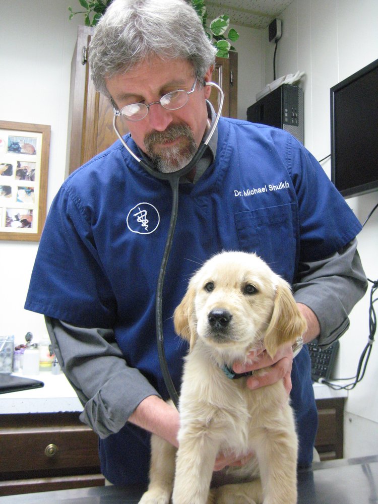Dunloggin Veterinary Hospital 23 Photos & 12 Reviews Veterinarians