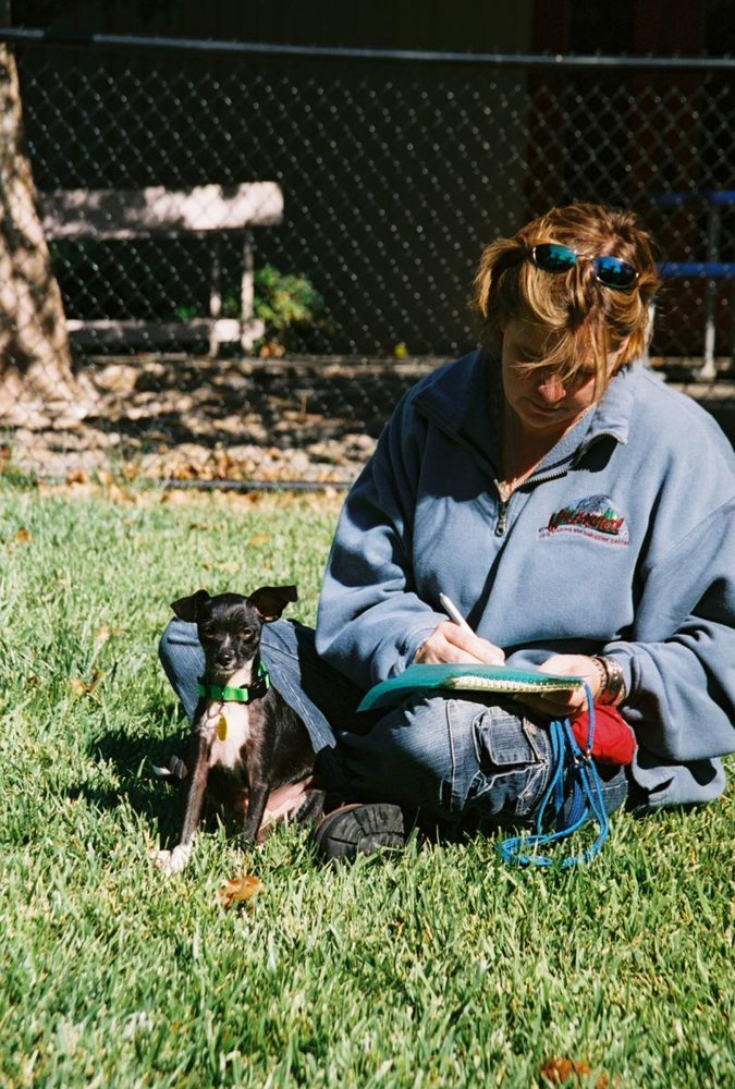 Unleashed Dog Training Petaluma Reviews Unleashed Dog Training Petaluma Reviews