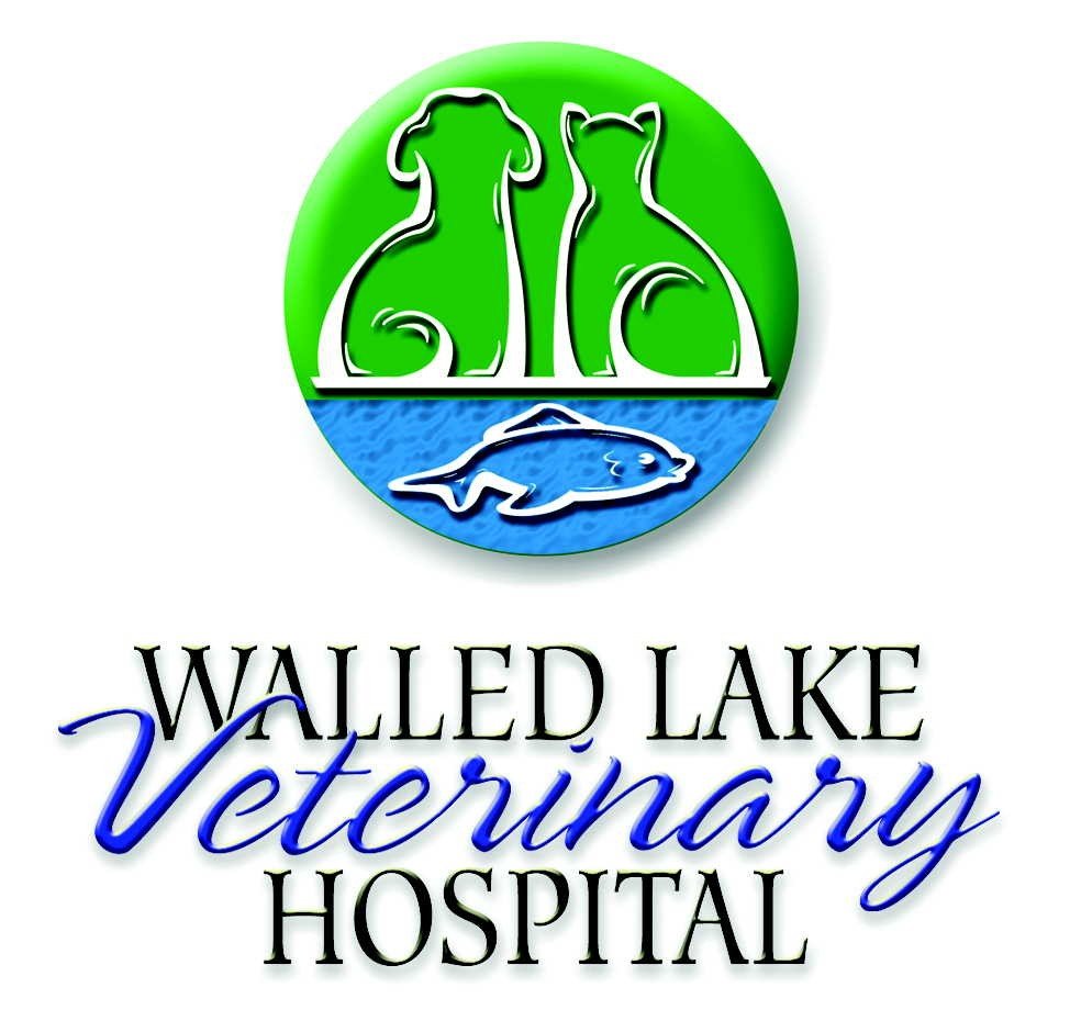 Walled Lake Veterinary Hospital 11 Reviews Veterinarians 1501 E