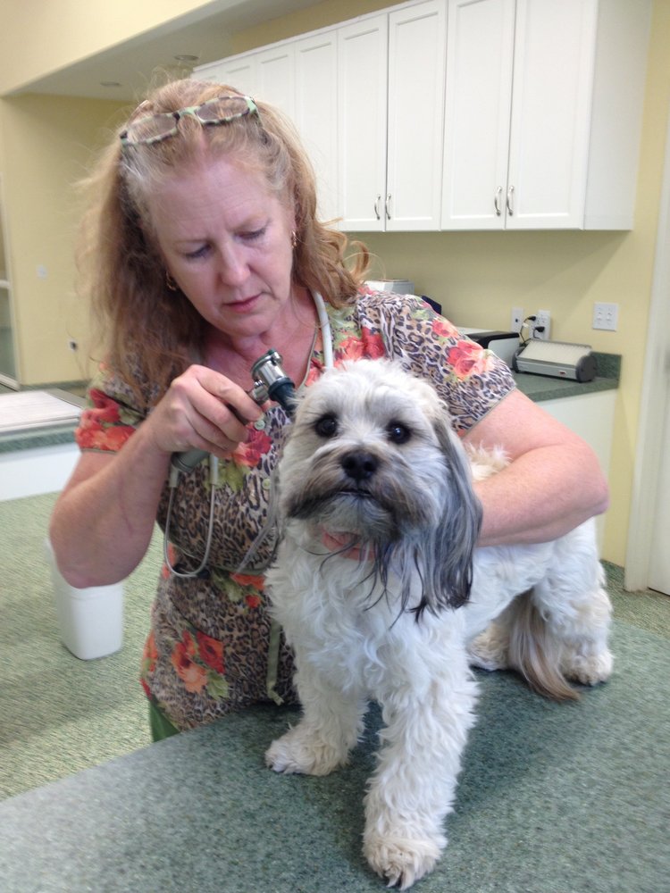 RoseRich Veterinary Clinic 12 Photos & 28 Reviews Veterinarians