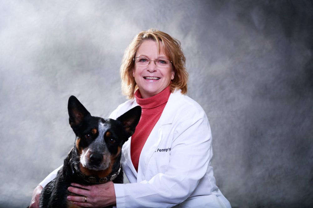 Dakota Hills Veterinary Clinic 12 Photos Veterinarians 1571 E