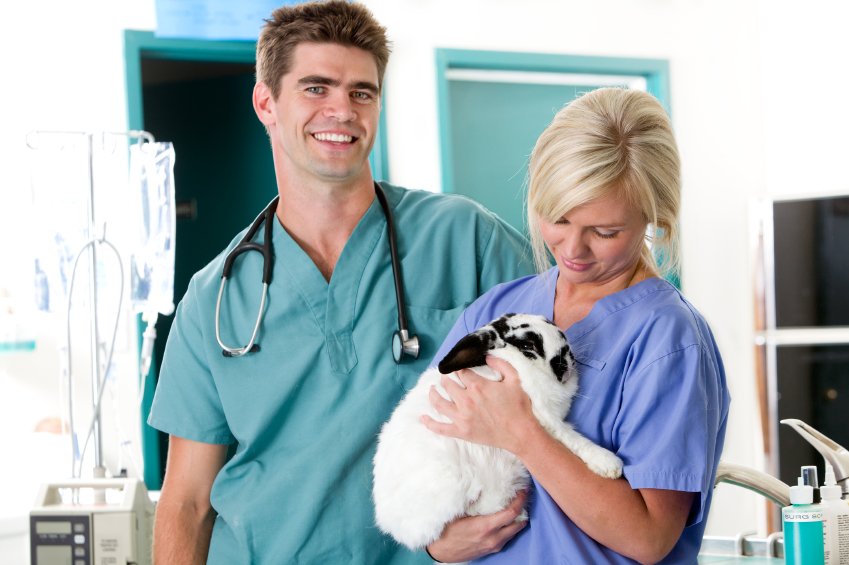 Carson valley veterinary hospital 44 photos 120 reviews
