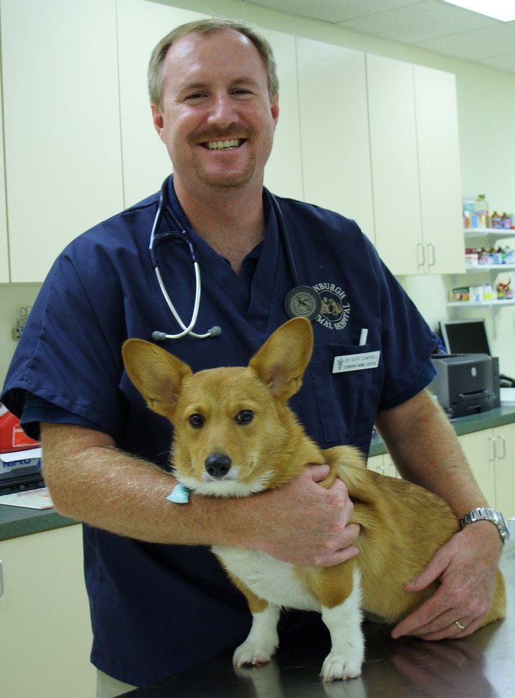 Edinburgh Animal Hospital 25 Photos & 25 Reviews Veterinarians