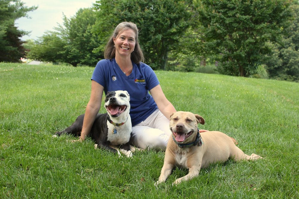 Dog Friendly Charlottesville Va Dog Friendly Charlottesville Va