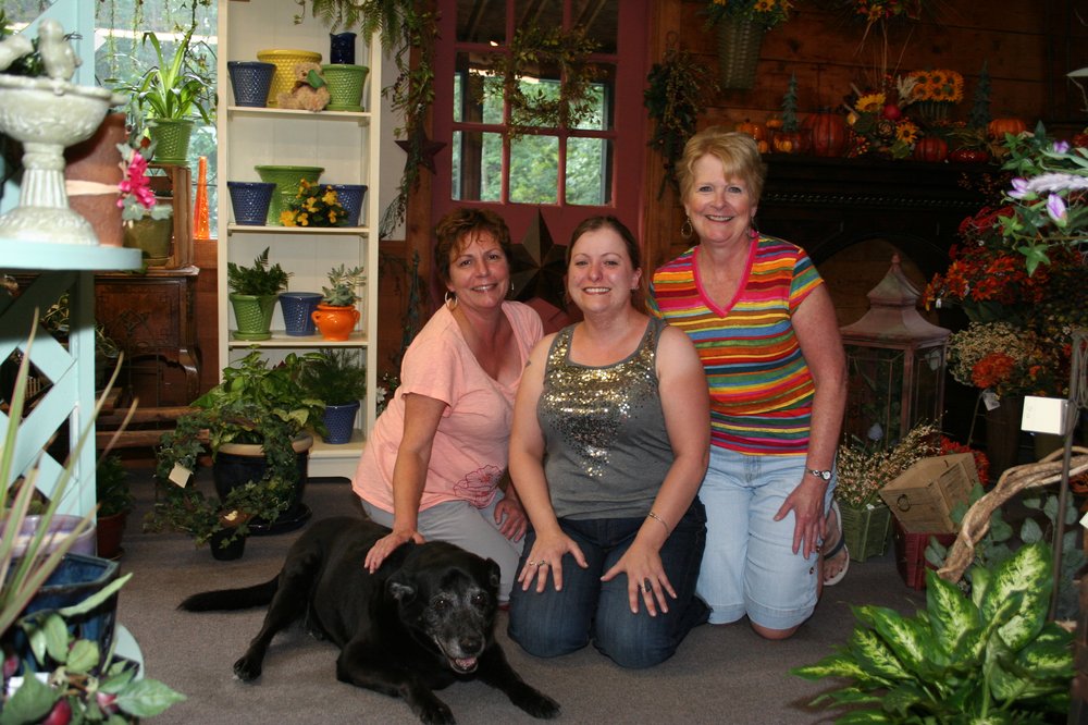 Celeste Flowers Manchester Nh Best Flower Site