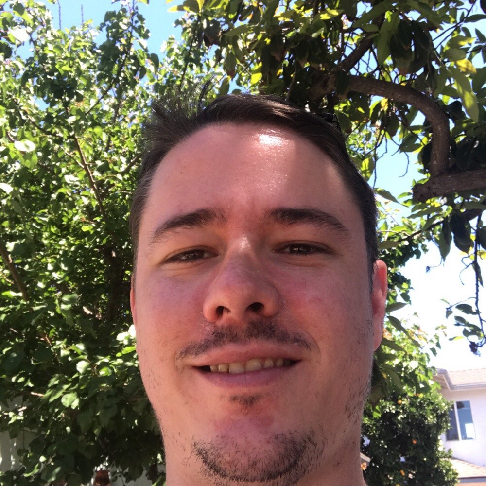 Pickles & Swiss Order Online 283 Photos & 532 Reviews Delis 811