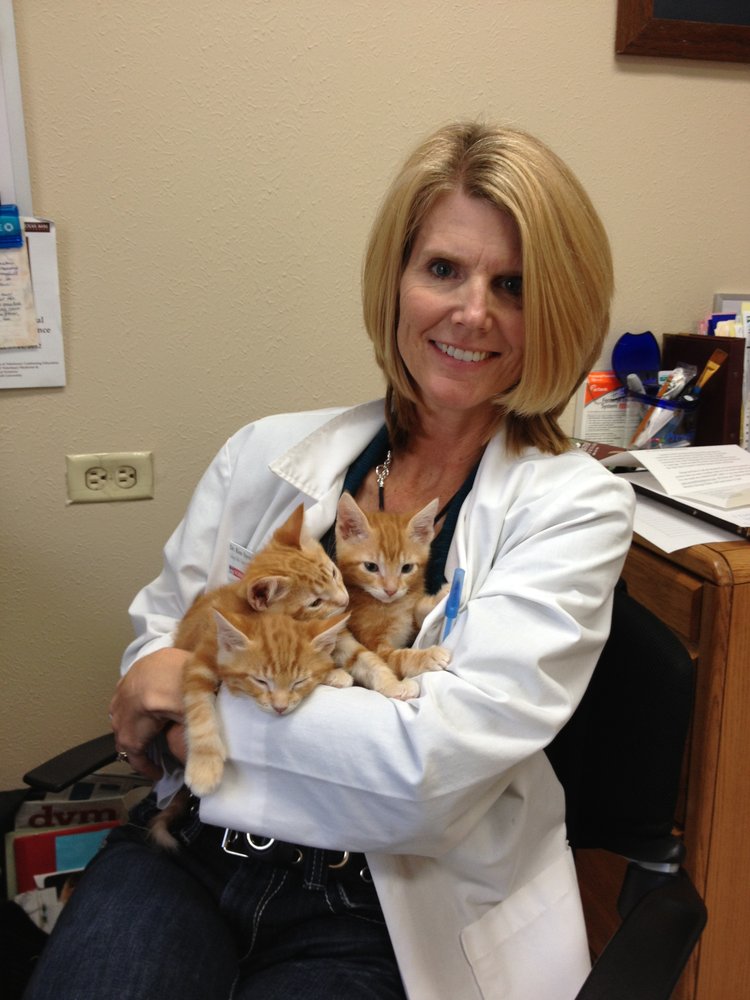 College Hills Veterinary Hospital 24 Photos & 11 Reviews
