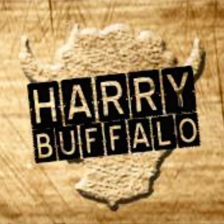 Harry Buffalo 39 Photos & 35 Reviews Burgers 3619 Midway Mall