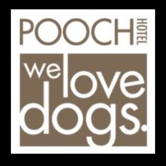 Pooch Hotel 61 Photos & 207 Reviews Pet Training 180 N Wolfe Rd