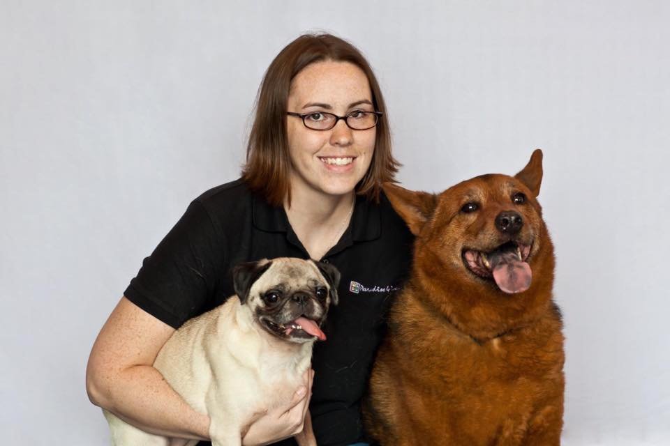 Pooch Hotel 61 Photos & 207 Reviews Pet Training 180 N Wolfe Rd