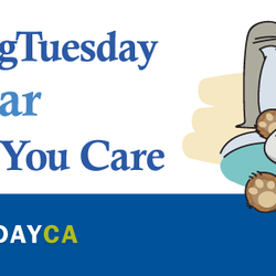 Buy a Bear / Donate to Markham Stouffville Hospital