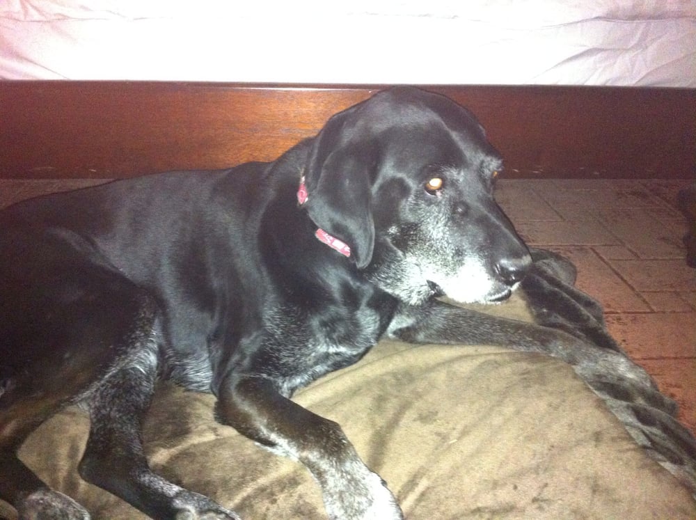 reviewer-profile-image