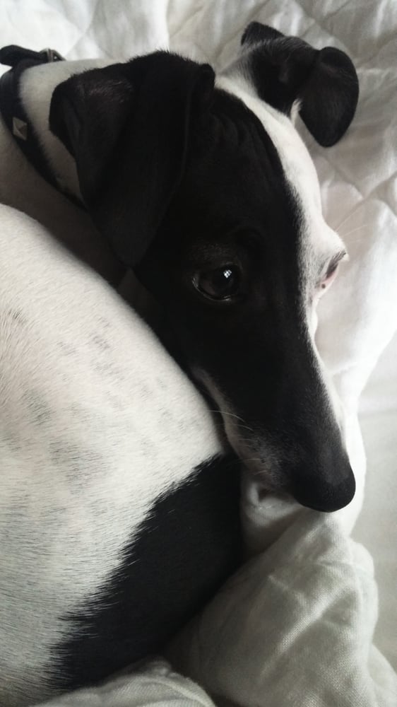 reviewer-profile-image