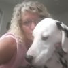 Profile image for Colleen C.