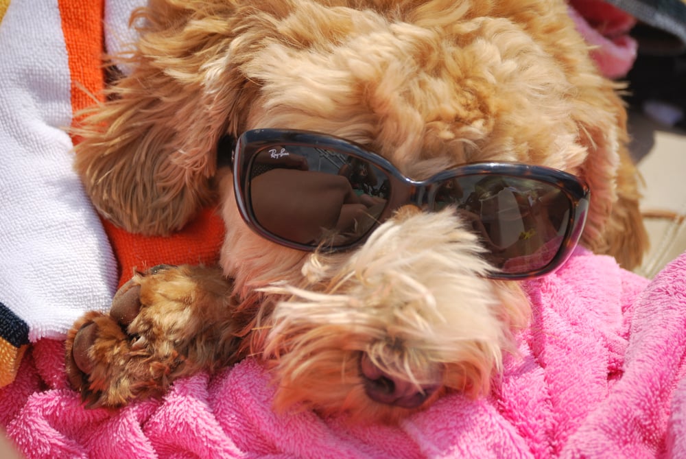 reviewer-profile-image