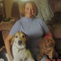 Diane P. Avatar
