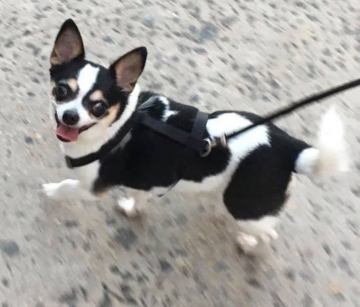 reviewer-profile-image