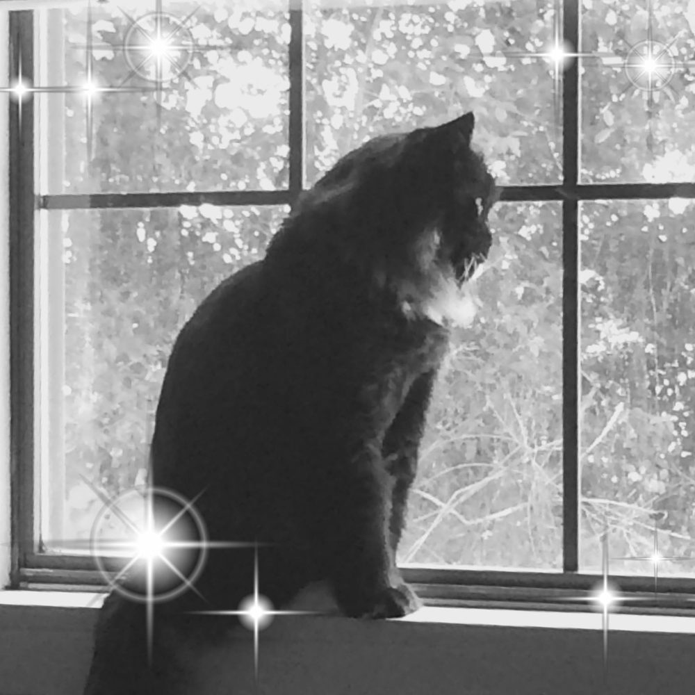 reviewer-profile-image