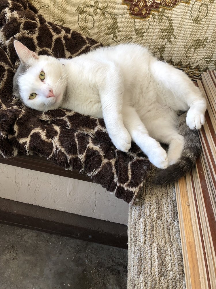 reviewer-profile-image