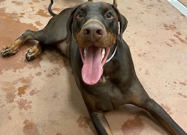 reviewer-profile-image