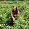 Isaan Baan Thai Noi