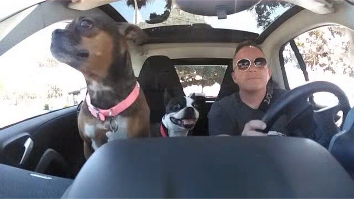 reviewer-profile-image