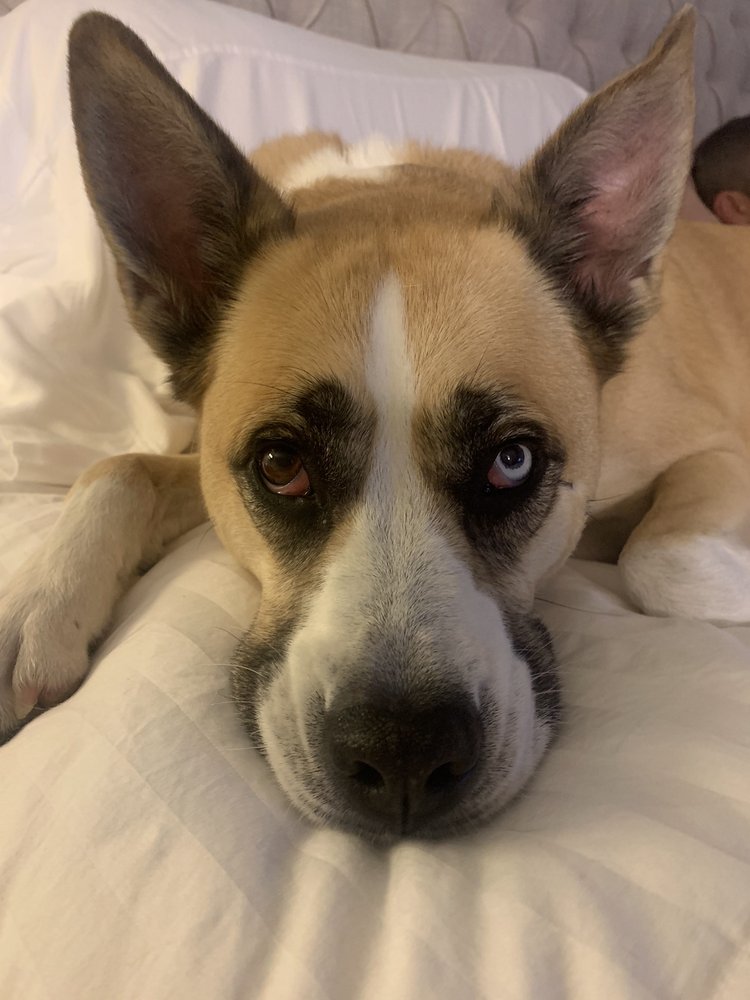 reviewer-profile-image