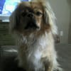 Baxter B.