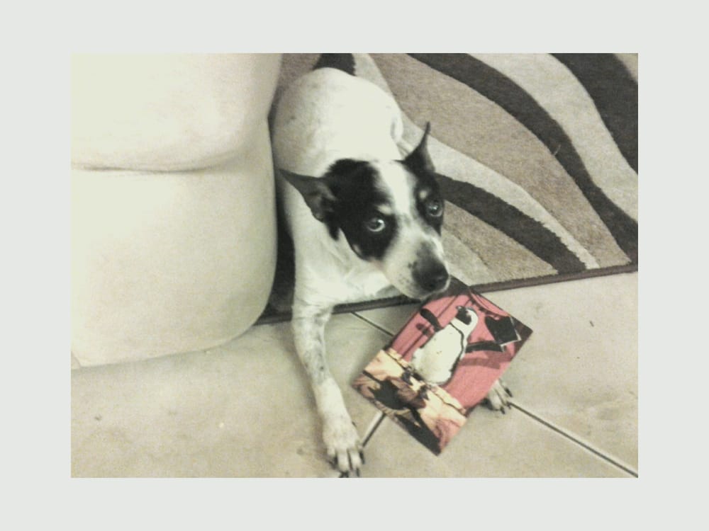 reviewer-profile-image