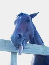 reviewer-profile-image