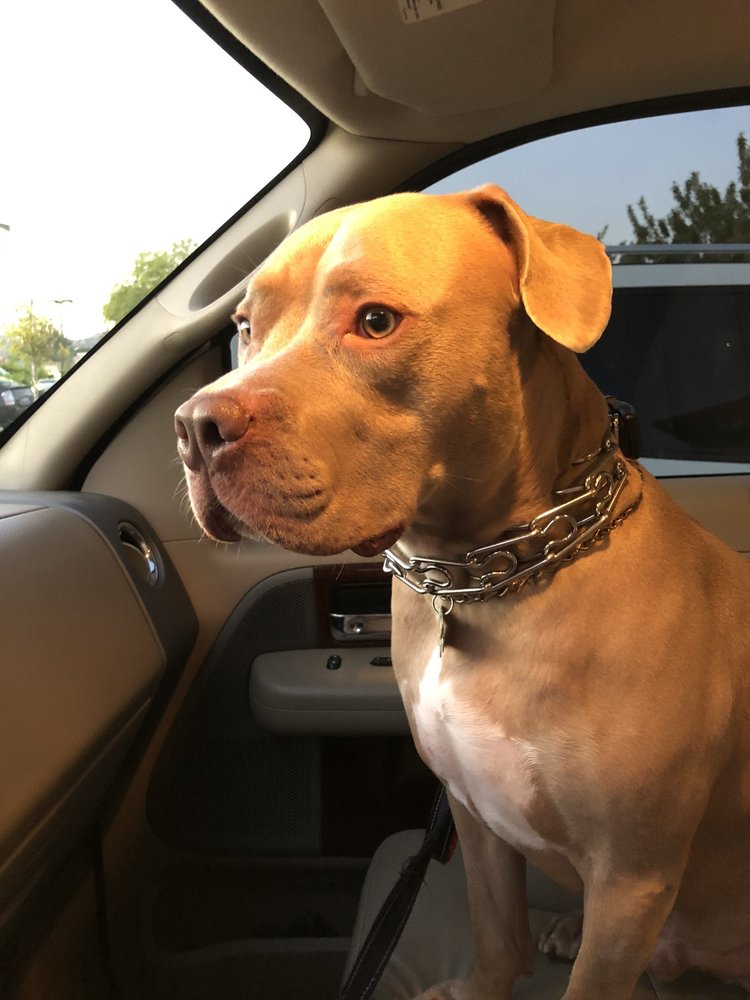 reviewer-profile-image