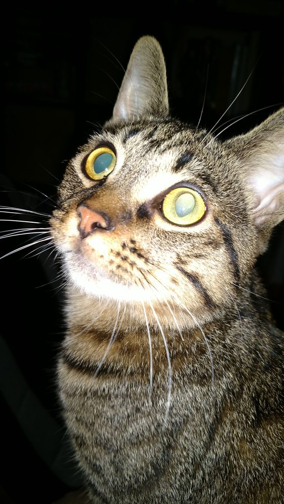 reviewer-profile-image