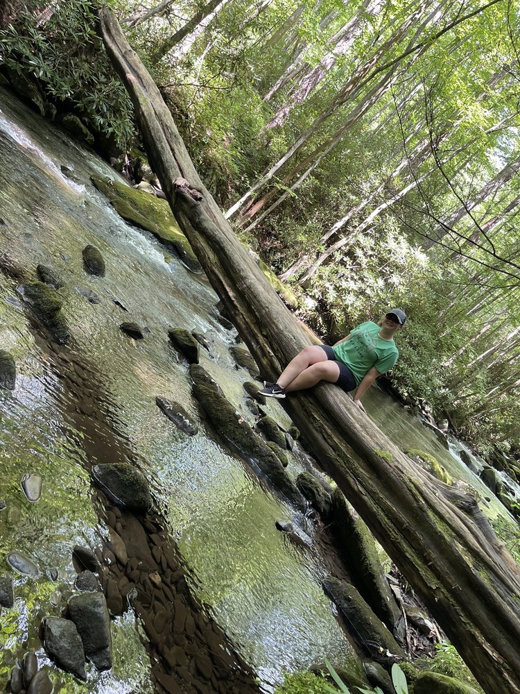 Scrambled Jake S Breakfast Company