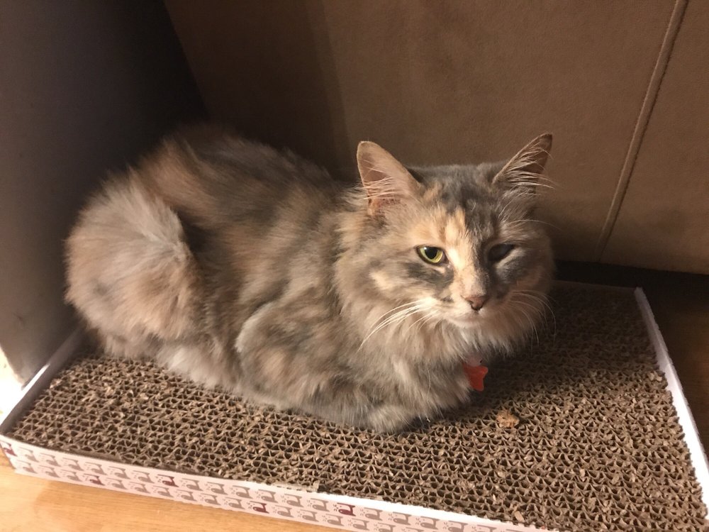 reviewer-profile-image