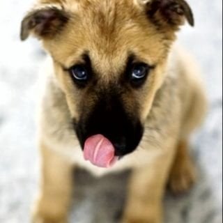 reviewer-profile-image