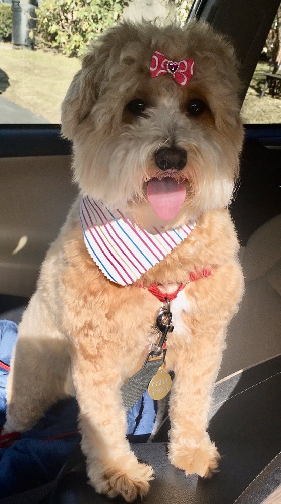 reviewer-profile-image