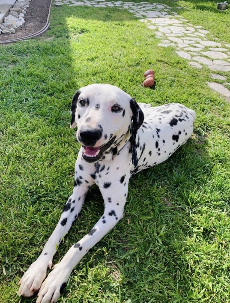 reviewer-profile-image