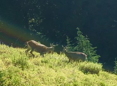 reviewer-profile-image