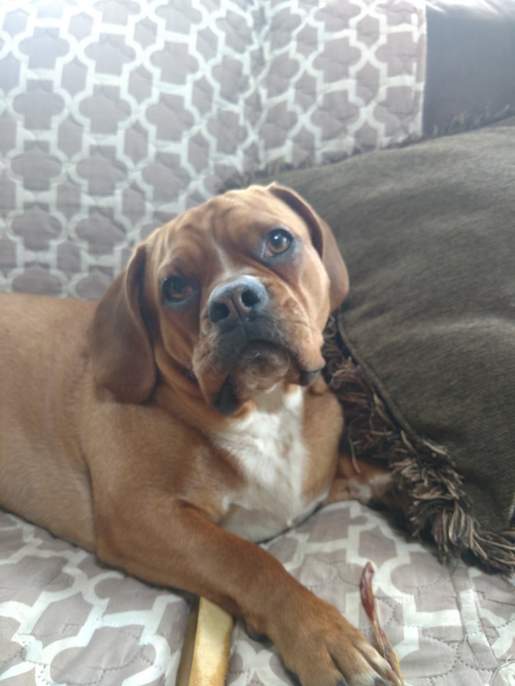 User profile - Maggie M..