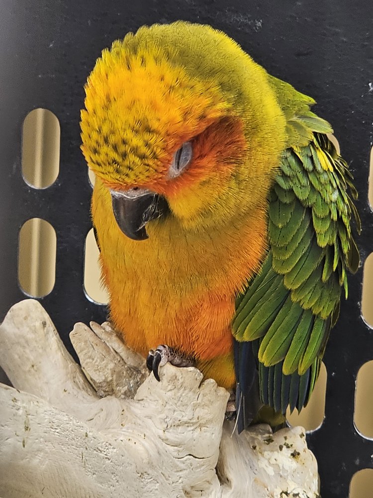 reviewer-profile-image