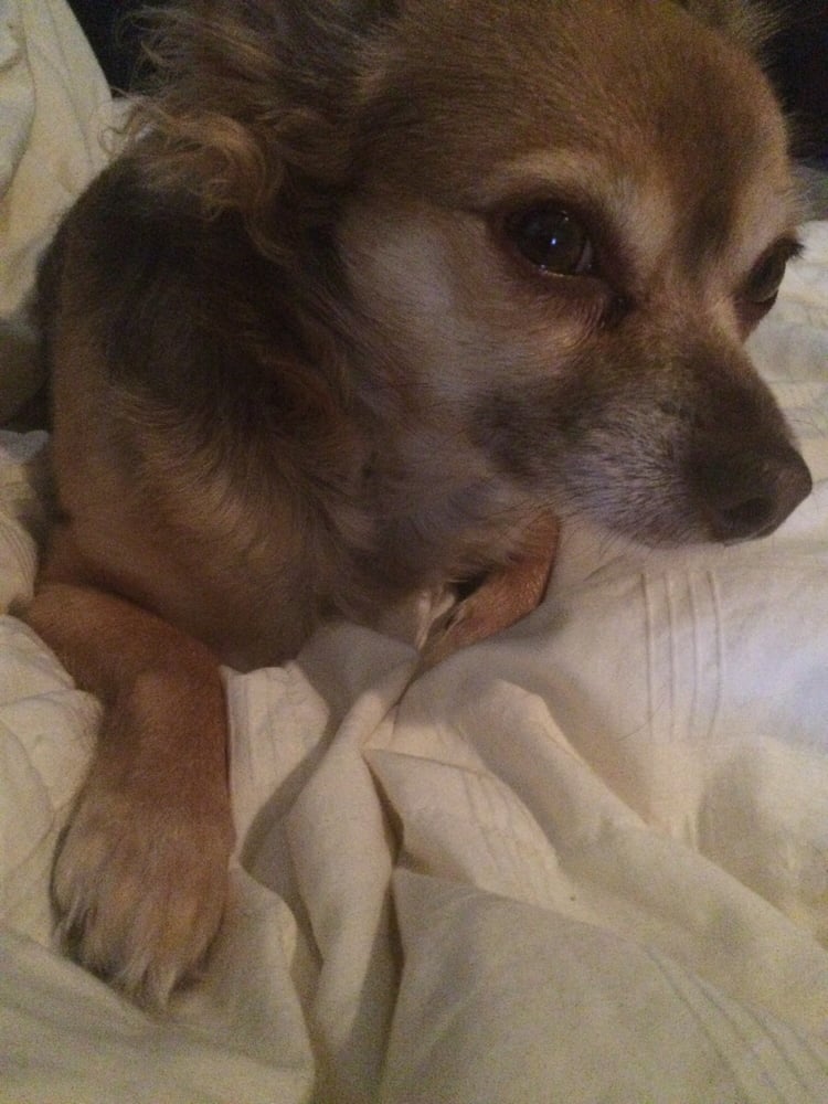 Bailey A.