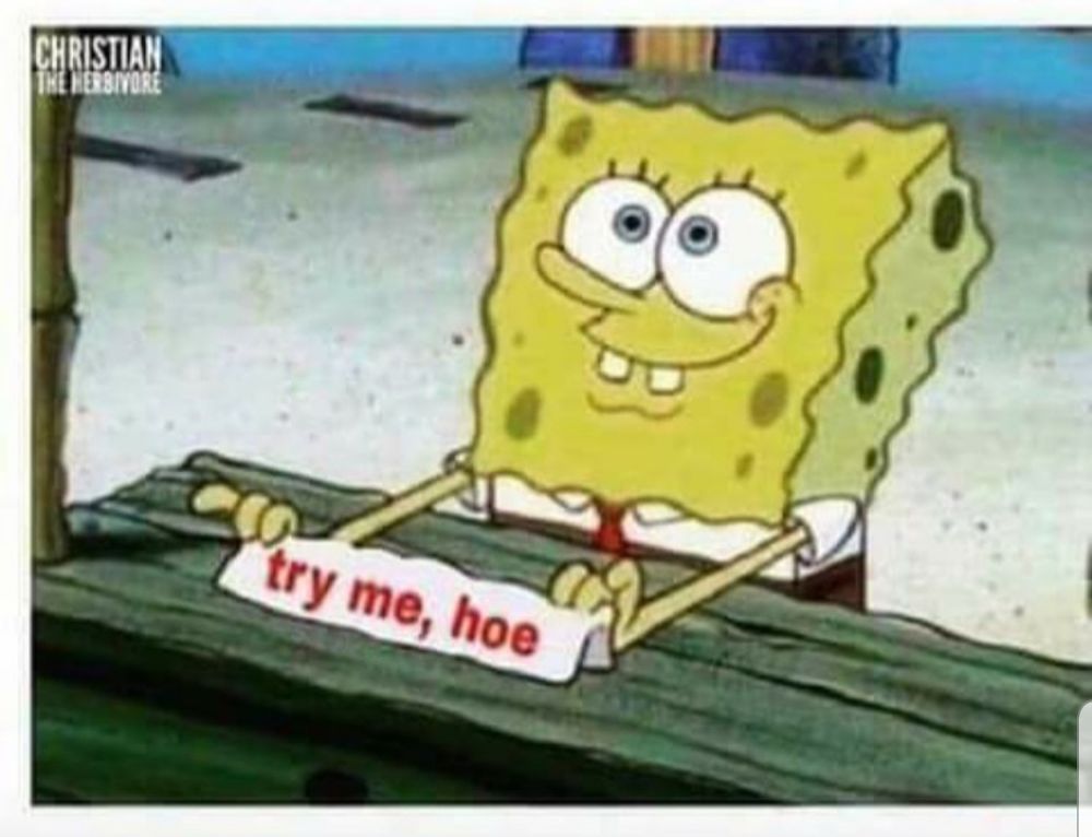 reviewer-profile-image