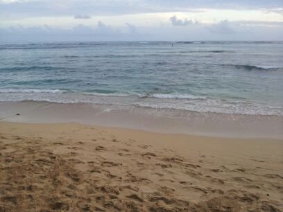 reviewer-profile-image