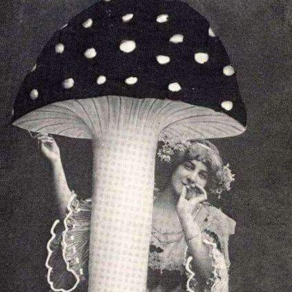 LIZ B.