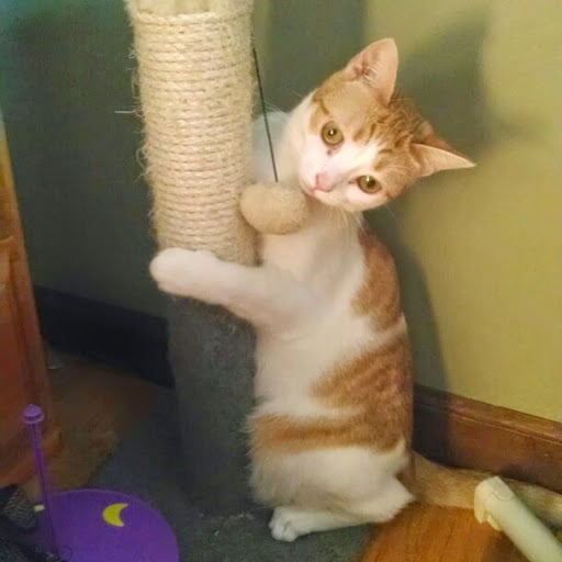 reviewer-profile-image