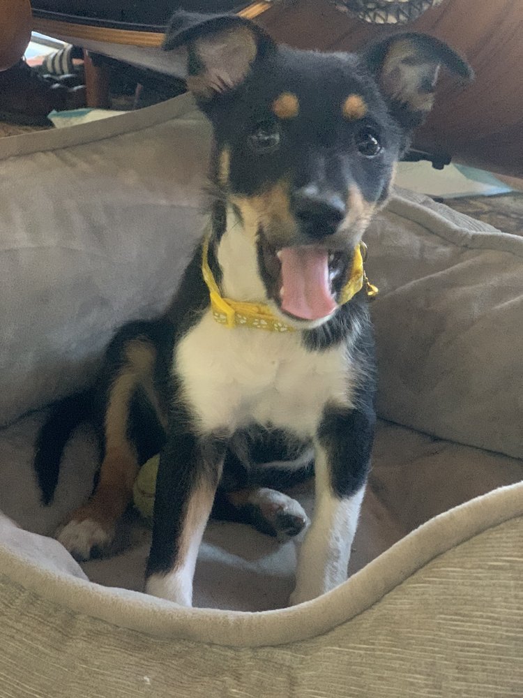 reviewer-profile-image