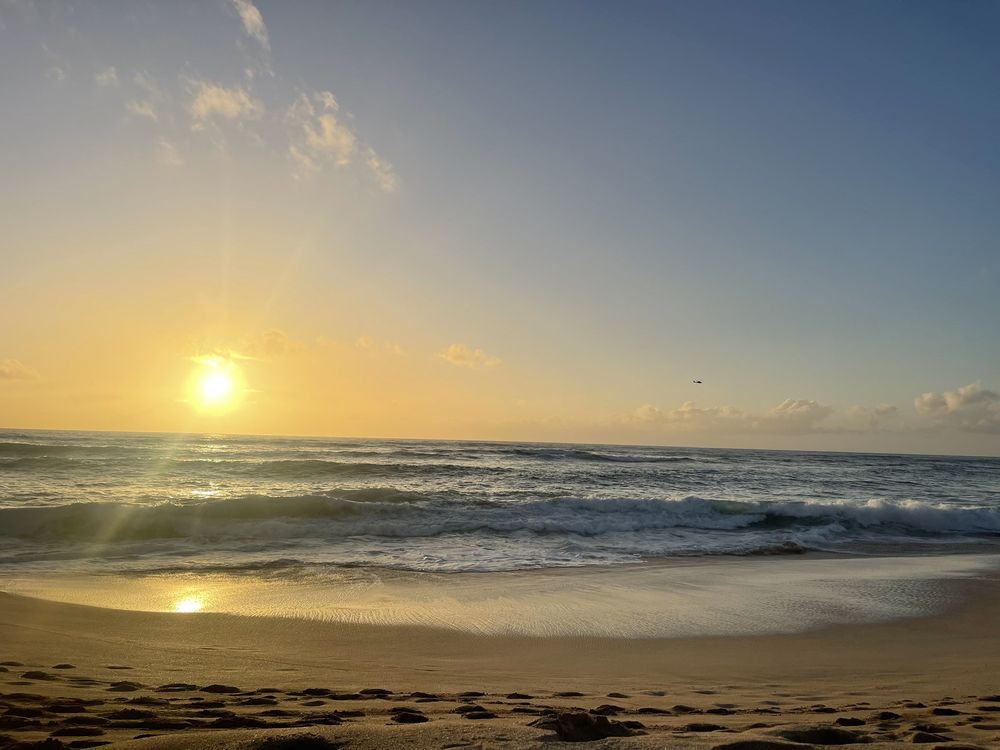 reviewer-profile-image