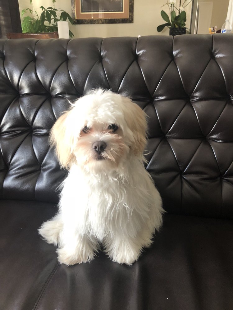 reviewer-profile-image