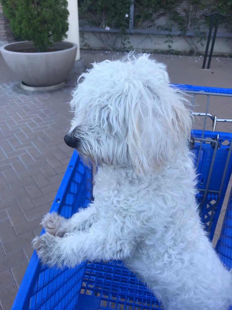 reviewer-profile-image